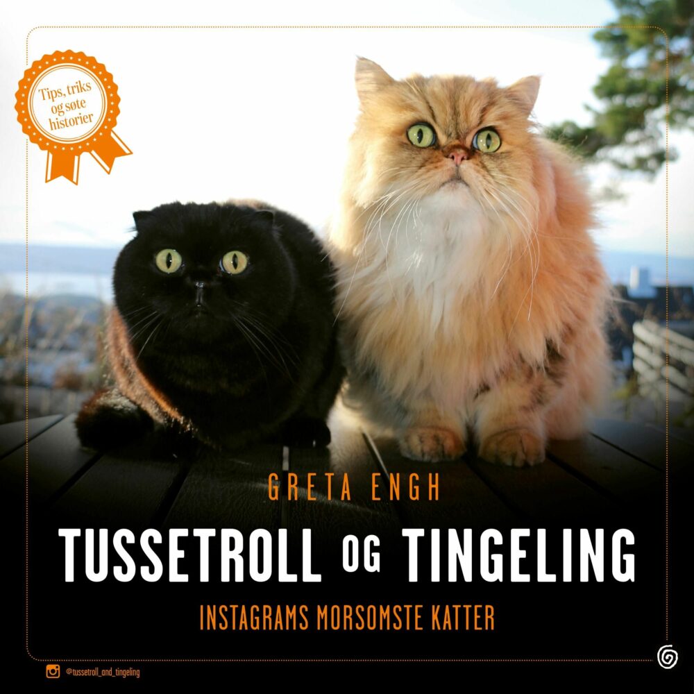Tussetroll og Tingeling