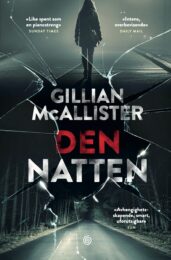 Den natten