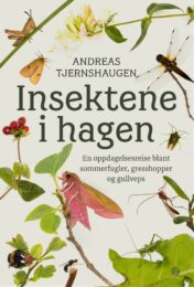 Insektene i hagen