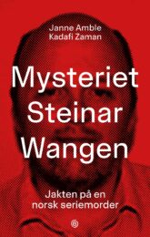 Mysteriet Steinar Wangen